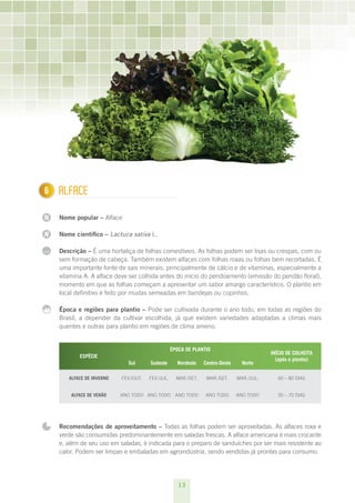6
1     ALFACE

N     Nome popular – Alface

N     Nome científico – Lactuca sativa L.

...   Descrição – É uma hortaliça de folhas comestíveis. As folhas podem ser lisas ou crespas, com ou
      sem formação de cabeça. Também existem alfaces com folhas roxas ou folhas bem recortadas. É
      uma importante fonte de sais minerais, principalmente de cálcio e de vitaminas, especialmente a
      vitamina A. A alface deve ser colhida antes do início do pendoamento (emissão do pendão floral),
      momento em que as folhas começam a apresentar um sabor amargo característico. O plantio em
      local definitivo é feito por mudas semeadas em bandejas ou copinhos.

      Época e regiões para plantio – Pode ser cultivada durante o ano todo, em todas as regiões do
      Brasil, a depender da cultivar escolhida, já que existem variedades adaptadas a climas mais
      quentes e outras para plantio em regiões de clima ameno.


                                                     ÉPOCA DE PLANTIO
                                                                                              INÍCIO DE COLHEITA
             ESPÉCIE 
                                                                                                (após o plantio)
                               Sul       Sudeste       Nordeste    Centro-Oeste     Norte

         ALFACE DE INvERNO   FEV./OUT.   FEV./JUL.     MAR./SET.    MAR./SET.     MAR./JUL.      60 – 80 DIAS


          ALFACE DE vERãO    ANO TODO ANO TODO         ANO TODO    ANO TODO       ANO TODO       50 – 70 DIAS




      Recomendações de aproveitamento – Todas as folhas podem ser aproveitadas. As alfaces roxa e
      verde são consumidas predominantemente em saladas frescas. A alface americana é mais crocante
      e, além de seu uso em saladas, é indicada para o preparo de sanduíches por ser mais resistente ao
      calor. Podem ser limpas e embaladas em agroindústria, sendo vendidas já prontas para consumo.




                                                        13
 