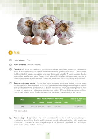 7
1     ALHO

N     Nome popular – Alho

N     Nome científico – Allium sativum L.

...   Descrição – O alho é um condimento mundialmente utilizado na culinária, sendo uma cultura muito
      antiga. É rico em vitaminas do complexo B e contém expressiva quantidade de fósforo. O bulbo contém
      bulbilhos (dentes) capazes de originar uma nova planta após brotação. A planta necessita de dias
      longos e frios para formar o bulbo. Visando induzir a formação de bulbos, foi desenvolvida a técnica de
      vernalização (expor os bulbos ao frio em câmara fria), sendo essa prática útil para algumas cultivares.

      Época e regiões para plantio – A escolha da cultivar adequada ao clima da região é essencial para o
      sucesso da cultura. As cultivares de ciclo curto ou precoces são menos exigentes de temperaturas frias
      e de quantidade de horas diárias de luz. As de ciclo mediano são um pouco mais exigentes de frio e
      horas de luz, enquanto as cultivares tardias exigem, no mínimo, 13 horas de luz por dia, podendo ser
      plantadas no extremo sul do Brasil ou no centro-sul, somente após a vernalização dos bulbos.


                                       ÉPOCA MAIS RECOMENDADA PARA PLANTIO            INÍCIO DE COLHEITA (após
              ESPÉCIE
                                                                                              o plantio)
                  
                                 Sul     Sudeste    Nordeste   Centro-Oeste   Norte                

               ALHO           MAIO/JUN. MAR./ABR.    MAIO      MAR./ABR.       *          150 – 180 DIAS


      *Não recomendável.



      Recomendações de aproveitamento – Pode ser usado na fabricação de molhos, pastas e temperos
      prontos pela agroindústria. O alho também tem sido vendido na forma de chips e frito, pronto para
      o consumo. É utilizado para temperar grande parte dos alimentos preparados em casa: sopas,
      arroz, feijão, carnes, molhos e massas.




                                                    14
 
