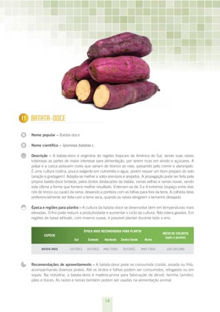 11
1     BATATA-DOCE

N     Nome popular – Batata-doce

N     Nome científico – Ipomoea batatas L.

...   Descrição – A batata-doce é originária de regiões tropicais da América do Sul, sendo suas raízes
      tuberosas as partes de maior interesse para alimentação, por serem ricas em amido e açúcares. A
      polpa e a casca possuem cores que variam de branco ao roxo, passando pelo creme e alaranjado.
      É uma cultura rústica, pouco exigente em nutrientes e água, porém requer um bom preparo do solo
      (aração e gradagem). Adapta-se melhor a solos arenosos e arejados. A propagação pode ser feita pela
      própria batata-doce brotada, pelos brotos destacados da batata, ramas velhas e ramas novas, sendo
      esta última a forma que fornece melhor resultado. Enterram-se de 3 a 4 entrenós (espaço entre dois
      nós de tronco ou caule) da rama, deixando a ponteira com as folhas para fora da terra. A colheita deve
      preferencialmente ser feita com a terra seca, quando as raízes atingirem o tamanho desejado.

      Época e regiões para plantio – A cultura da batata-doce se desenvolve bem em temperaturas mais
      elevadas. O frio pode reduzir a produtividade e aumentar o ciclo da cultura. Não tolera geadas. Em
      regiões de baixa altitude, com inverno suave, é possível plantar durante todo o ano.


                                         ÉPOCA MAIS RECOMENDADA PARA PLANTIO
                                                                                          INÍCIO DE COLHEITA
              ESPÉCIE
                                                                                            (após o plantio)
                                Sul        Sudeste   Nordeste   Centro-Oeste     Norte

            BATATA-DOCE       OUT/DEz.    OUT/DEz.   ANO TODO    OUT/DEz.      ANO TODO     120-150 DIAS




      Recomendações de aproveitamento – A batata-doce pode se consumida cozida, assada ou frita,
      acompanhando diversos pratos. Até os brotos e folhas podem ser consumidos, refogados ou em
      sopas. Na indústria, a batata-doce é matéria-prima para fabricação de álcool, farinha (amido),
      pães e doces. As raízes e ramas também podem ser usadas na alimentação animal.




                                                     18
 