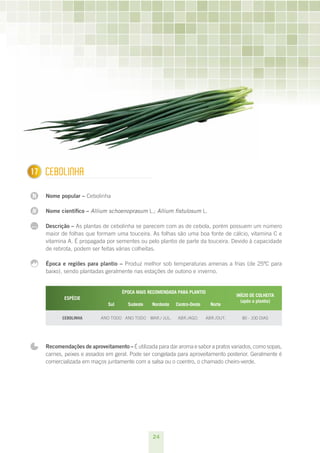 17
1     CEBOLInHA

N     Nome popular – Cebolinha

N     Nome científico – Allium schoenoprasum L.; Allium fistulosum L.

...   Descrição – As plantas de cebolinha se parecem com as de cebola, porém possuem um número
      maior de folhas que formam uma touceira. As folhas são uma boa fonte de cálcio, vitamina C e
      vitamina A. É propagada por sementes ou pelo plantio de parte da touceira. Devido à capacidade
      de rebrota, podem ser feitas várias colheitas.

      Época e regiões para plantio – Produz melhor sob temperaturas amenas a frias (de 25ºC para
      baixo), sendo plantadas geralmente nas estações de outono e inverno.


                                      ÉPOCA MAIS RECOMENDADA PARA PLANTIO
                                                                                        INÍCIO DE COLHEITA
             ESPÉCIE
                                                                                          (após o plantio)
                                Sul     Sudeste   Nordeste   Centro-Oeste     Norte

            CEBOLINHA        ANO TODO ANO TODO MAR./ JUL.     ABR./AGO.     ABR./OUT.     80 - 100 DIAS




      Recomendações de aproveitamento – É utilizada para dar aroma e sabor a pratos variados, como sopas,
      carnes, peixes e assados em geral. Pode ser congelada para aproveitamento posterior. Geralmente é
      comercializada em maços juntamente com a salsa ou o coentro, o chamado cheiro-verde.




                                                  24
 