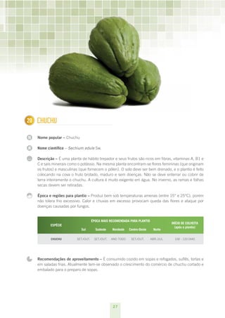 20
1     CHuCHu

N     Nome popular – Chuchu

N     Nome científico – Sechium edule Sw.

...   Descrição – É uma planta de hábito trepador e seus frutos são ricos em fibras, vitaminas A, B1 e
      C e sais minerais como o potássio. Na mesma planta encontram-se flores femininas (que originam
      os frutos) e masculinas (que fornecem o pólen). O solo deve ser bem drenado, e o plantio é feito
      colocando na cova o fruto brotado, maduro e sem doenças. Não se deve enterrar ou cobrir de
      terra inteiramente o chuchu. A cultura é muito exigente em água. No inverno, as ramas e folhas
      secas devem ser retiradas.

      Época e regiões para plantio – Produz bem sob temperaturas amenas (entre 15° e 25°C), porém
      não tolera frio excessivo. Calor e chuvas em excesso provocam queda das flores e ataque por
      doenças causadas por fungos.


                                        ÉPOCA MAIS RECOMENDADA PARA PLANTIO
                                                                                           INÍCIO DE COLHEITA
             ESPÉCIE
                                                                                             (após o plantio)
                               Sul        Sudeste    Nordeste   Centro-Oeste     Norte

             CHUCHU         SET./OUT.    SET./OUT.   ANO TODO    SET./OUT.     ABR./JUL.     100 - 120 DIAS




      Recomendações de aproveitamento – É consumido cozido em sopas e refogados, suflês, tortas e
      em saladas frias. Atualmente tem-se observado o crescimento do comércio de chuchu cortado e
      embalado para o preparo de sopas.




                                                     27
 