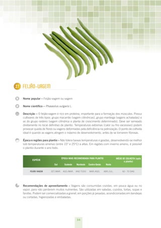 27
1     FEIjãO-vAGEm

N     Nome popular – Feijão-vagem ou vagem

N     Nome científico – Phaseolus vulgaris L.

...   Descrição – O feijão-vagem é rico em proteína, importante para a formação dos músculos. Possui
      cultivares de três tipos: grupo macarrão (vagem cilíndricas), grupo manteiga (vagens achatadas) e
      as do grupo rasteiro (vagem cilíndrica e planta de crescimento determinado). Deve ser semeado
      diretamente no local definitivo de plantio. Temperaturas extremas (calor ou frio excessivo) podem
      provocar queda de flores ou vagens deformadas pela deficiência na polinização. O ponto de colheita
      ideal é quando as vagens atingem o máximo de desenvolvimento, antes de se tornarem fibrosas.

      Época e regiões para plantio – Não tolera baixas temperaturas e geadas, desenvolvendo-se melhor
      sob temperaturas amenas (entre 15° e 25°C) a altas. Em regiões com inverno ameno, é possível
      o plantio durante o ano todo.


                                     ÉPOCA MAIS RECOMENDADA PARA PLANTIO                INÍCIO DE COLHEITA (após
             ESPÉCIE
                                                                                                o plantio)
                 
                               Sul      Sudeste   Nordeste   Centro-Oeste     Norte                  

           FEIjãO vAGEM      SET./MAR. AGO./MAR. ANO TODO    MAR./AGO.      ABR./JUL.         60 - 70 DIAS




      Recomendações de aproveitamento – Vagens são consumidas cozidas, em pouca água ou no
      vapor, para não perderem muitos nutrientes. São utilizadas em saladas, cozidos, tortas, sopas e
      farofas. Podem ser comercializadas a granel, em porções já pesadas, acondicionadas em bandejas
      ou cortadas, higienizadas e embaladas.




                                                  34
 