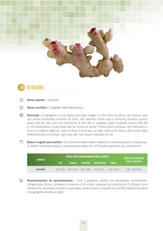 28
1     GEnGIBRE

N     Nome popular – Gengibre

N     Nome científico – Zingiber officinale Roscoe

...   Descrição – O gengibre é uma planta que pode chegar a 1,20 metro de altura. Os rizomas, que
      são caules localizados embaixo da terra, são utilizados tanto para o consumo humano quanto
      para o plantio. São ricos em vitamina A, B, B2, B5, C, potássio, sódio. A planta cresce entre 90
      e 120 centímetros e suas folhas são em forma de lança. Prefere solos arenosos, bem drenados e
      ricos em matéria orgânica. Deve-se fazer a amontoa, ou seja, cobrir com terra a área onde estão
      desenvolvendo os rizomas, para que eles não fiquem expostos ao sol.

      Época e regiões para plantio – Os rizomas se desenvolvem melhor em climas tropicais e subtropicais.
      A planta é sensível à geada, e temperaturas abaixo de 13°C podem paralisar seu crescimento.


                                         ÉPOCA MAIS RECOMENDADA PARA PLANTIO
                                                                                           INÍCIO DE COLHEITA
             ESPÉCIE
                                                                                             (após o plantio)
                                Sul        Sudeste    Nordeste   Centro-Oeste     Norte

             GENGIBRE        AGO./DEz.    AGO./DEz.   ANO TODO    AGO./DEz.     ANO TODO     240 - 300 DIAS




      Recomendações de aproveitamento – Com o gengibre, podem ser preparados condimentos,
      refrigerantes, licores, cervejas e conservas. Com o óleo, preparam-se cosméticos. É utilizado como
      condimento de pratos chineses e japoneses, picles e para o preparo do quentão (bebida alcoólica
      com gengibre levada ao fogo).




                                                      35
 