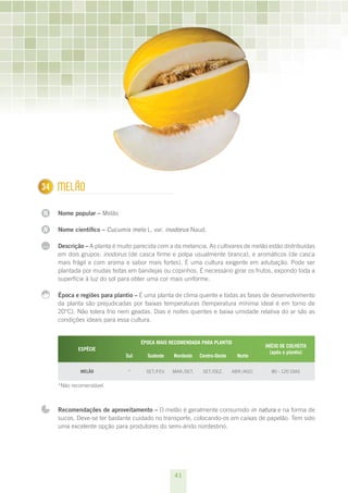 34
1     mELãO

N     Nome popular – Melão

N     Nome científico – Cucumis melo L. var. inodorus Naud.

...   Descrição – A planta é muito parecida com a da melancia. As cultivares de melão estão distribuídas
      em dois grupos: inodorus (de casca firme e polpa usualmente branca), e aromáticos (de casca
      mais frágil e com aroma e sabor mais fortes). É uma cultura exigente em adubação. Pode ser
      plantada por mudas feitas em bandejas ou copinhos. É necessário girar os frutos, expondo toda a
      superfície à luz do sol para obter uma cor mais uniforme.

      Época e regiões para plantio – É uma planta de clima quente e todas as fases de desenvolvimento
      da planta são prejudicadas por baixas temperaturas (temperatura mínima ideal é em torno de
      20°C). Não tolera frio nem geadas. Dias e noites quentes e baixa umidade relativa do ar são as
      condições ideais para essa cultura.


                                     ÉPOCA MAIS RECOMENDADA PARA PLANTIO
                                                                                          INÍCIO DE COLHEITA
             ESPÉCIE
                                                                                            (após o plantio) 
                               Sul      Sudeste    Nordeste    Centro-Oeste     Norte

              MELãO             *      SET./FEV.   MAR./SET.    SET./DEz.     ABR./AGO.     80 - 120 DIAS


      *Não recomendável.



      Recomendações de aproveitamento – O melão é geralmente consumido in natura e na forma de
      sucos. Deve-se ter bastante cuidado no transporte, colocando-os em caixas de papelão. Tem sido
      uma excelente opção para produtores do semi-árido nordestino.




                                                   41
 