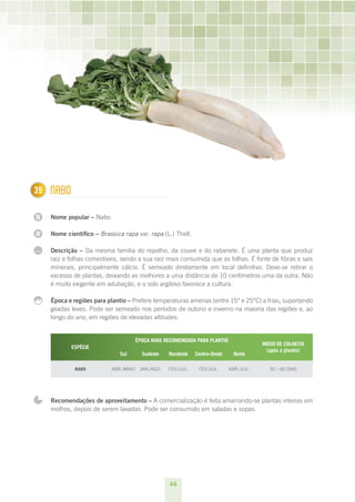 39
1     nABO

N     Nome popular – Nabo

N     Nome científico – Brassica rapa var. rapa (L.) Thell.

...   Descrição – Da mesma família do repolho, da couve e do rabanete. É uma planta que produz
      raiz e folhas comestíveis, sendo a sua raiz mais consumida que as folhas. É fonte de fibras e sais
      minerais, principalmente cálcio. É semeado diretamente em local definitivo. Deve-se retirar o
      excesso de plantas, deixando as melhores a uma distância de 10 centímetros uma da outra. Não
      é muito exigente em adubação, e o solo argiloso favorece a cultura.

      Época e regiões para plantio – Prefere temperaturas amenas (entre 15° e 25°C) a frias, suportando
      geadas leves. Pode ser semeado nos períodos de outono e inverno na maioria das regiões e, ao
      longo do ano, em regiões de elevadas altitudes.


                                      ÉPOCA MAIS RECOMENDADA PARA PLANTIO
                                                                                         INÍCIO DE COLHEITA
             ESPÉCIE
                                                                                           (após o plantio) 
                                Sul     Sudeste   Nordeste    Centro-Oeste     Norte

               NABO         ABR./MAIO JAN./AGO.   FEV./JUL.    FEV./JUL.     ABR./JUL.      50 – 60 DIAS




      Recomendações de aproveitamento – A comercialização é feita amarrando-se plantas inteiras em
      molhos, depois de serem lavadas. Pode ser consumido em saladas e sopas.




                                                  46
 