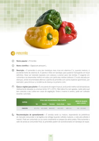 42
1     PImEnTãO

N     Nome popular – Pimentão

N     Nome científico – Capsicum annuum L.

...   Descrição – O pimentão é uma das hortaliças mais ricas em vitamina C e, quando maduro, é
      excelente fonte de vitamina A. O plantio é feito em bandejas para posterior transplante em local
      definitivo. Deve ser tutorada (apoiada com estacas e arame) para não tombar. É exigente em
      nutrientes e se desenvolve melhor em solos com partículas médias (siltosos). É muito atacada por
      doenças, sendo recomendado alternar o plantio de pimentão com outras espécies (gramíneas, por
      exemplo), para diminuir a incidência de doença no próximo ciclo.

      Época e regiões para plantio – É uma planta de origem tropical, produzindo melhor sob temperaturas
      relativamente elevadas ou amenas (entre 15° e 25°C). Não tolera frio nem geadas, razão pela qual
      tem crescido o seu cultivo em casas de vegetação. Onde o inverno é ameno, pode ser cultivado
      durante o ano todo.


                                         ÉPOCA MAIS RECOMENDADA PARA PLANTIO
                                                                                             INÍCIO DE COLHEITA
             ESPÉCIE
                                                                                               (após o plantio)
                               Sul         Sudeste    Nordeste    Centro-Oeste     Norte

             PIMENTãO        SET./FEV.    AGO./MAR.   MAIO/SET.    AGO./DEz.     ABR./JUL.     100 - 120 DIAS



      Recomendações de aproveitamento – É vendido verde ou maduro, dependendo da preferência
      do mercado consumidor e da logística de entrega (quando colhidos maduros, a vida pós-colheita é
      menor). Pode ser consumido cru ou como condimento no preparo de vários pratos. Para aumentar o
      valor de venda ao consumidor final, os pimentões podem ser acondicionados em bandejas de isopor.




                                                      49
 