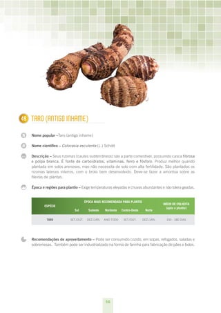 49
1     TARO (AnTIGO InHAmE)

N     Nome popular –Taro (antigo inhame)

N     Nome científico – Colocasia esculenta (L.) Schott

...   Descrição – Seus rizomas (caules subterrâneos) são a parte comestível, possuindo casca fibrosa
      e polpa branca. É fonte de carboidratos, vitaminas, ferro e fósforo. Produz melhor quando
      plantada em solos arenosos, mas não necessita de solo com alta fertilidade. São plantados os
      rizomas laterais inteiros, com o broto bem desenvolvido. Deve-se fazer a amontoa sobre as
      fileiras de plantas.

      Época e regiões para plantio – Exige temperaturas elevadas e chuvas abundantes e não tolera geadas.


                                         ÉPOCA MAIS RECOMENDADA PARA PLANTIO
                                                                                            INÍCIO DE COLHEITA
             ESPÉCIE
                                                                                              (após o plantio) 
                                Sul        Sudeste    Nordeste   Centro-Oeste     Norte

               TARO          SET./OUT.    DEz./JAN.   ANO TODO    SET./OUT.     DEz./JAN.     150 - 180 DIAS




      Recomendações de aproveitamento – Pode ser consumido cozido, em sopas, refogados, saladas e
      sobremesas. Também pode ser industrializado na forma de farinha para fabricação de pães e bolos.




                                                      56
 