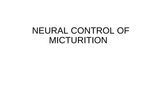 NEURAL CONTROL OF
MICTURITION
 