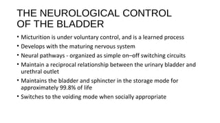 THE NEUROLOGICAL CONTROL
OF THE BLADDER
• Micturition is under voluntary control, and is a learned process
• Develops with...