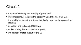 Circuit 2
• Is voluntary voiding emotionally appropriate?
• This limbic circuit includes the dorsalACC and the nearby SMA....