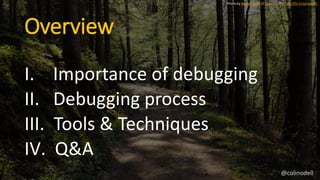 Overview
I. Importance of debugging
II. Debugging process
III. Tools & Techniques
IV. Q&A
Photo by Roman Boed // cc by 2.0...