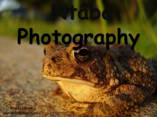 Ntaba
      Photography


   Angila Lanier
Owner/Photographer
 