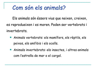 Com són els animals? Els animals són éssers vius que neixen, creixen, es reprodueixen i es moren. Poden ser vertebrats i invertebrats. Animals vertebrats: els mamífers, els rèptils, els peixos, els amfibis i els ocells. Animals invertebrats: els insectes, i altres animals com l’estrella de mar o el cargol. 
