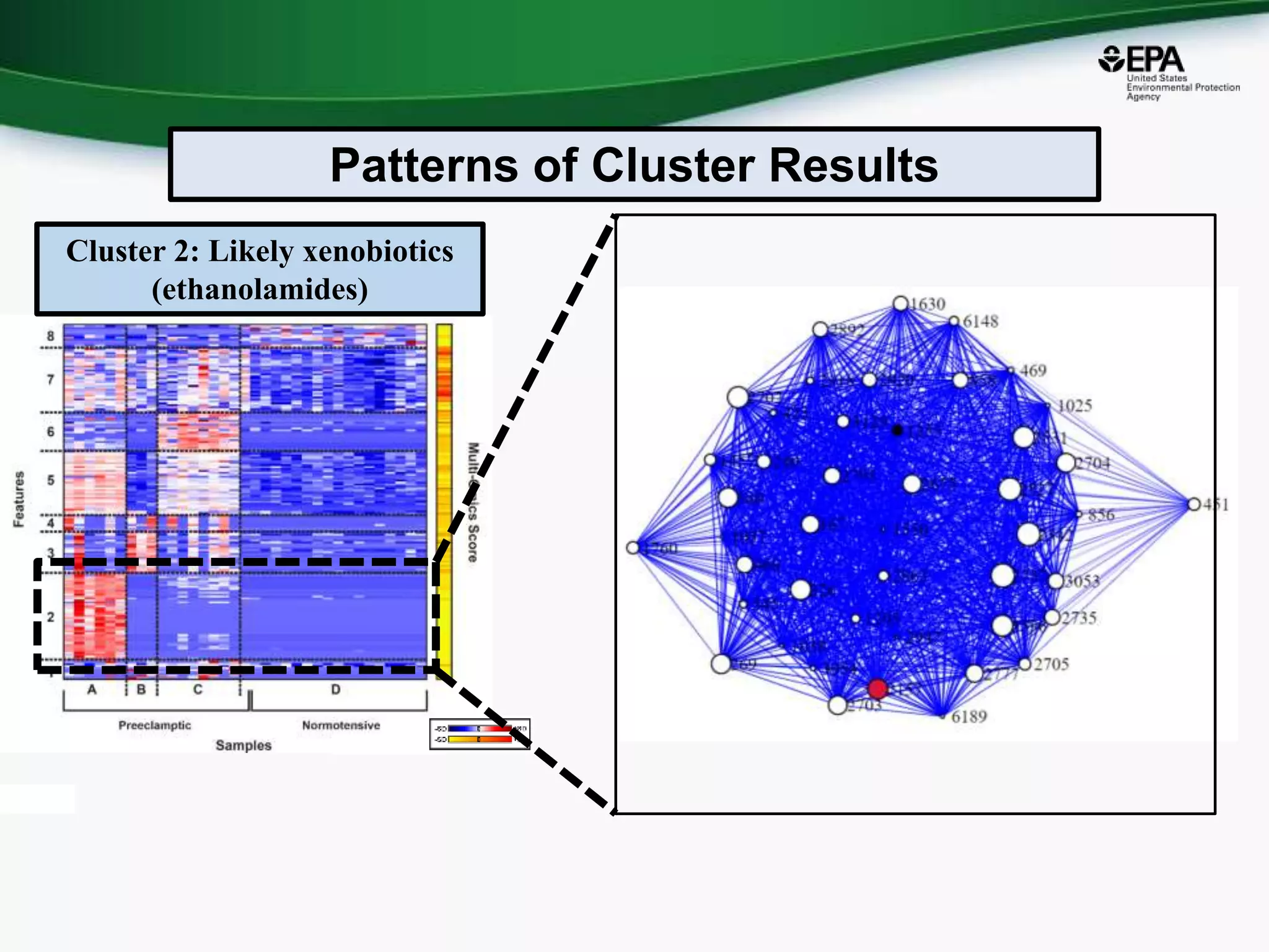 Cluster 2: Likely xenobiotics
(ethanolamides)
Patterns of Cluster Results
 
