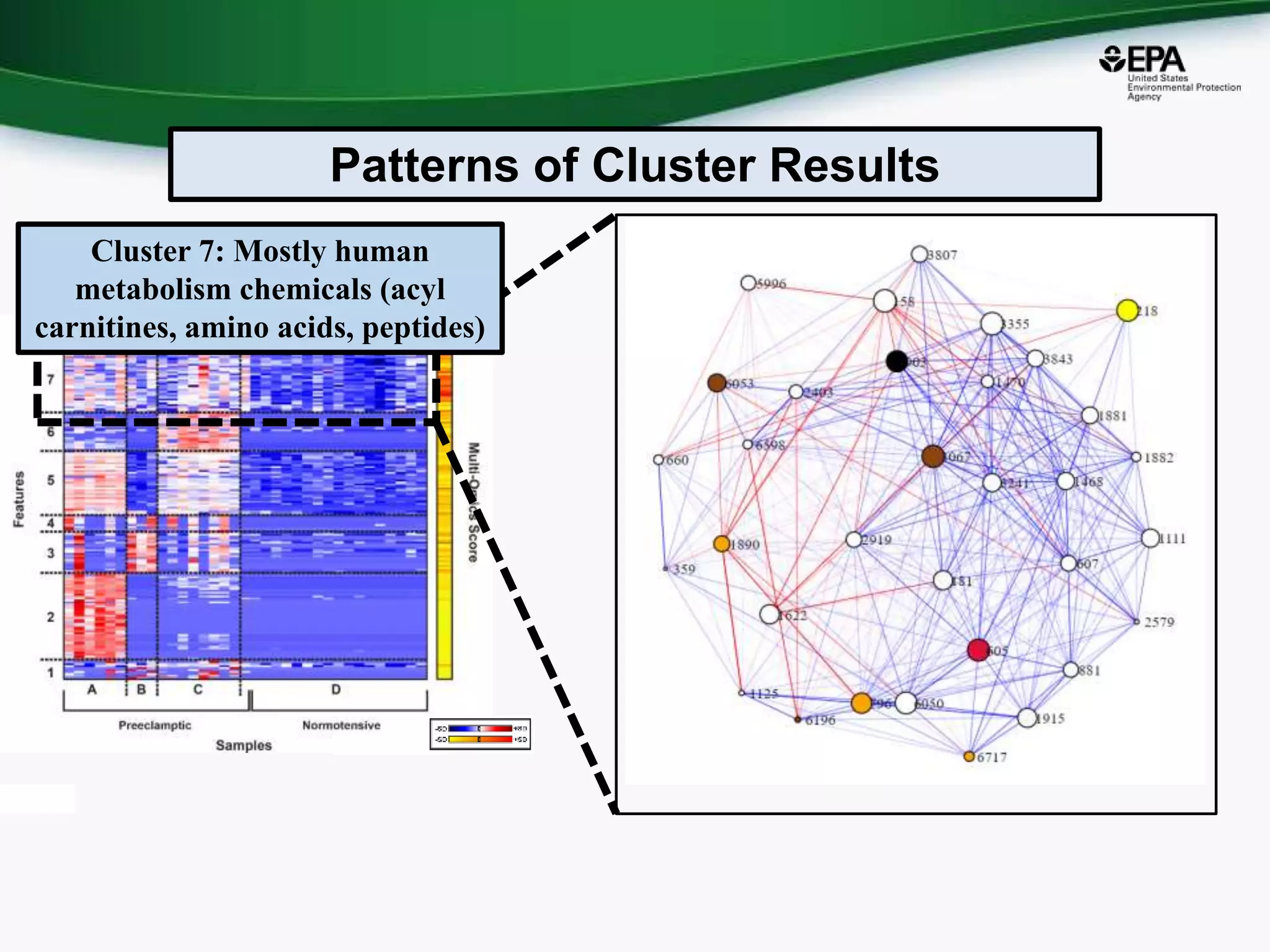 Cluster 7: Mostly human
metabolism chemicals (acyl
carnitines, amino acids, peptides)
Patterns of Cluster Results
 