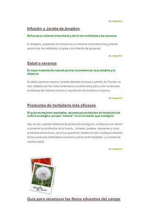 Infusión y Jarabe de jengibre
Refuerza tu sistema inmunitario y alivia los resfriados y las nauseas
El Jengibre, preparado en infusión es un refuerzo inmunitario muy potente
para la tos, los resfriados, la gripe y la irritación de garganta.
Sabal o serenoa
El mejor tratamiento natural para la incontinencia, la prostatitis y la
alopecia
El sabal (serenoa repens), también llamado serenoa o palmito de Florida, ha
sido utilizado por los indios americanos durante años para curar numerosos
problemas del sistema urinario y reproductor de hombres y mujeres.
Productos de herbolario más eficaces
Si quieres mejores resultados, apuesta por productos de herbolario de
cultivo ecológico, porque “natural” no es lo mismo que ecológico
Hoy en día, cuando hablamos de productos ecológicos, a todos se nos vienen
a la mente los productos de la huerta... tomates, patatas, manzanas y otros
productos alimenticios, pero hoy queremos resaltar el valor ecológico añadido
de los productos destinados a prevenir y sanar enfermedades, y a conservar
nuestra salud.
Guía para reconocer las flores silvestres del campo
 