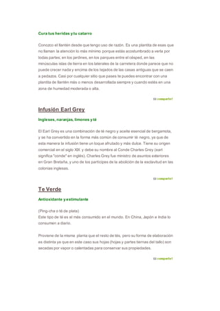 Cura tus heridas y tu catarro
Conozco el llantén desde que tengo uso de razón. Es una plantita de esas que
no llaman la atención lo más mínimo porque estás acostumbrado a verla por
todas partes; en los jardines, en los parques entre el césped, en las
minúsculas islas de tierra en los laterales de la carretera donde parece que no
puede crecer nada y encima de los tejados de las casas antiguas que se caen
a pedazos. Casi por cualquier sitio que pases te puedes encontrar con una
plantita de llantén más o menos desarrollada siempre y cuando estés en una
zona de humedad moderada o alta.
Infusión Earl Grey
Ingleses, naranjas, limones y té
El Earl Grey es una combinación de té negro y aceite esencial de bergamota,
y se ha convertido en la forma más común de consumir té negro, ya que de
esta manera la infusión tiene un toque afrutado y más dulce. Tiene su origen
comercial en el siglo XIX y debe su nombre al Conde Charles Grey (earl
significa "conde" en inglés). Charles Grey fue ministro de asuntos exteriores
en Gran Bretaña, y uno de los partícipes de la abolición de la esclavitud en las
colonias inglesas.
Te Verde
Antioxidante y estimulante
(Ping-cha o té de plata)
Este tipo de té es el más consumido en el mundo. En China, Japón e India lo
consumen a diario.
Proviene de la misma planta que el resto de tés, pero su forma de elaboración
es distinta ya que en este caso sus hojas (hojas y partes tiernas del tallo) son
secadas por vapor o calentadas para conservar sus propiedades.
 