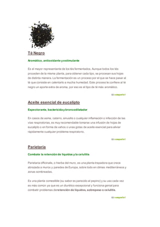 Té Negro
Aromático, antioxidante y estimulante
Es el mayor representante de los tés fermentados. Aunque todos los tés
proceden de la misma planta, para obtener cada tipo, se procesan sus hojas
de distinta manera. La fermentación es un proceso por el que se hace pasar al
té que consiste en calentarlo a mucha humedad. Este proceso le confiere al té
negro un aporte extra de aroma, por eso es el tipo de té más aromático.
Aceite esencial de eucalipto
Espectorante, bactericida y broncodilatador
En casos de asma, catarro, sinusitis o cualquier inflamación o infección de las
vías respiratorias, es muy recomendable tomarse una infusión de hojas de
eucalipto o en forma de vahos o unas gotas de aceite esencial para aliviar
rápidamente cualquier problema respiratorio.
Parietaria
Combate la retención de líquidos y la celulitis
Parietaria officinalis, o hierba del muro, es una planta trepadora que crece
abrazada a muros y paredes de Europa, sobre todo en climas mediterráneos y
zonas sombreadas.
Es una planta comestible (su sabor es parecido al pepino) y su uso cada vez
es más común ya que es un diurético excepcional y funciona genial para
combatir problemas deretención de líquidos, sobrepeso o celulitis.
 