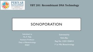 SONOPORATION
Submitted to
Ms.P. Mala
Assistant Professor
Dept. of Biotechnology
PMIST
Submitted by
Neha Biju
Reg. No. 123011356014
1st yr MSc Biotechnology
YBT 201 Recombinant DNA Technology
 