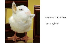 My name is Kristina.
I am a hybrid.
 