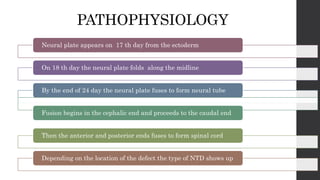 PATHOPHYSIOLOGY
Neural plate appears on 17 th day from the ectoderm
On 18 th day the neural plate folds along the midline
By the end of 24 day the neural plate fuses to form neural tube
Fusion begins in the cephalic end and proceeds to the caudal end
Then the anterior and posterior ends fuses to form spinal cord
Depending on the location of the defect the type of NTD shows up
 