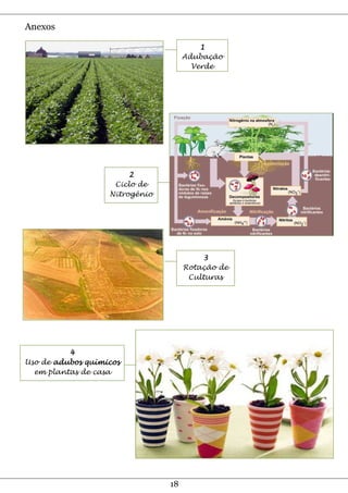Anexos

                                         1
                                     Adubação
                                       Verde




                        2
                    Ciclo de
                   Nitrogênio




                                         3
                                     Rotação de
                                      Culturas




          4
Uso de adubos químicos
  em plantas de casa




                                18
 