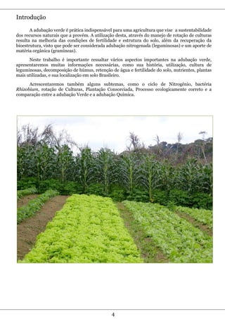 Introdução

       A adubação verde é prática indispensável para uma agricultura que vise a sustentabilidade
dos recursos naturais que a provém. A utilização desta, através do manejo de rotação de culturas
resulta na melhoria das condições de fertilidade e estrutura do solo, além da recuperação da
bioestrutura, visto que pode ser considerada adubação nitrogenada (leguminosas) e um aporte de
matéria orgânica (gramíneas).
      Neste trabalho é importante ressaltar vários aspectos importantes na adubação verde,
apresentaremos muitas informações necessárias, como sua história, utilização, cultura de
leguminosas, decomposição de húmus, retenção de água e fertilidade do solo, nutrientes, plantas
mais utilizadas, e sua localização em solo Brasileiro.
      Acrescentaremos também alguns subtemas, como o ciclo de Nitrogênio, bactéria
Rhizobium, rotação de Culturas, Plantação Consorciada, Processo ecologicamente correto e a
comparação entre a adubação Verde e a adubação Química.




                                              4
 