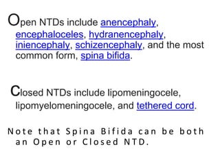Ntds Algorithm NTD presentation. by mwebaza victorpptx | PPTX