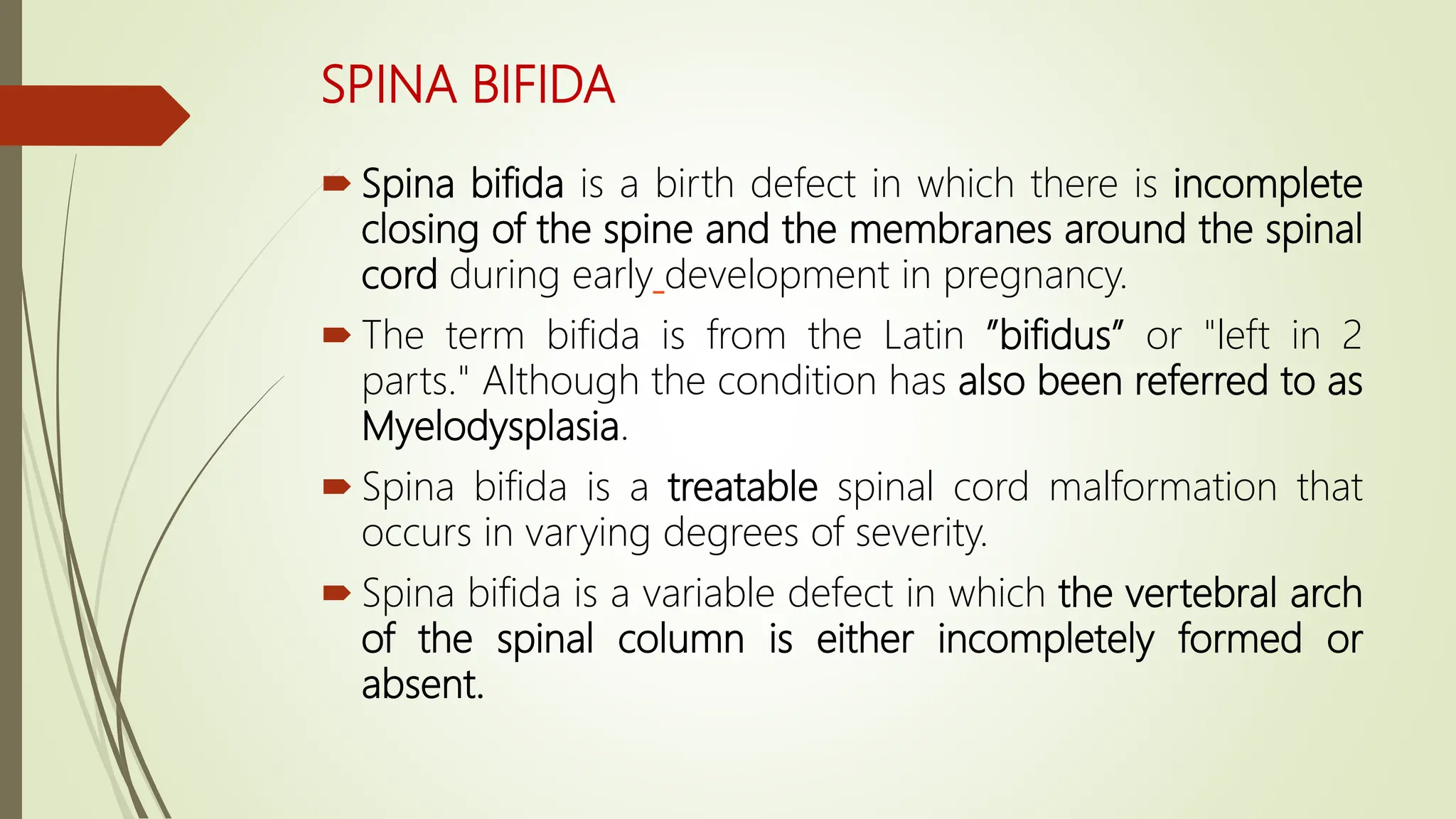 Neural tube defects - in neonates and children | PPT