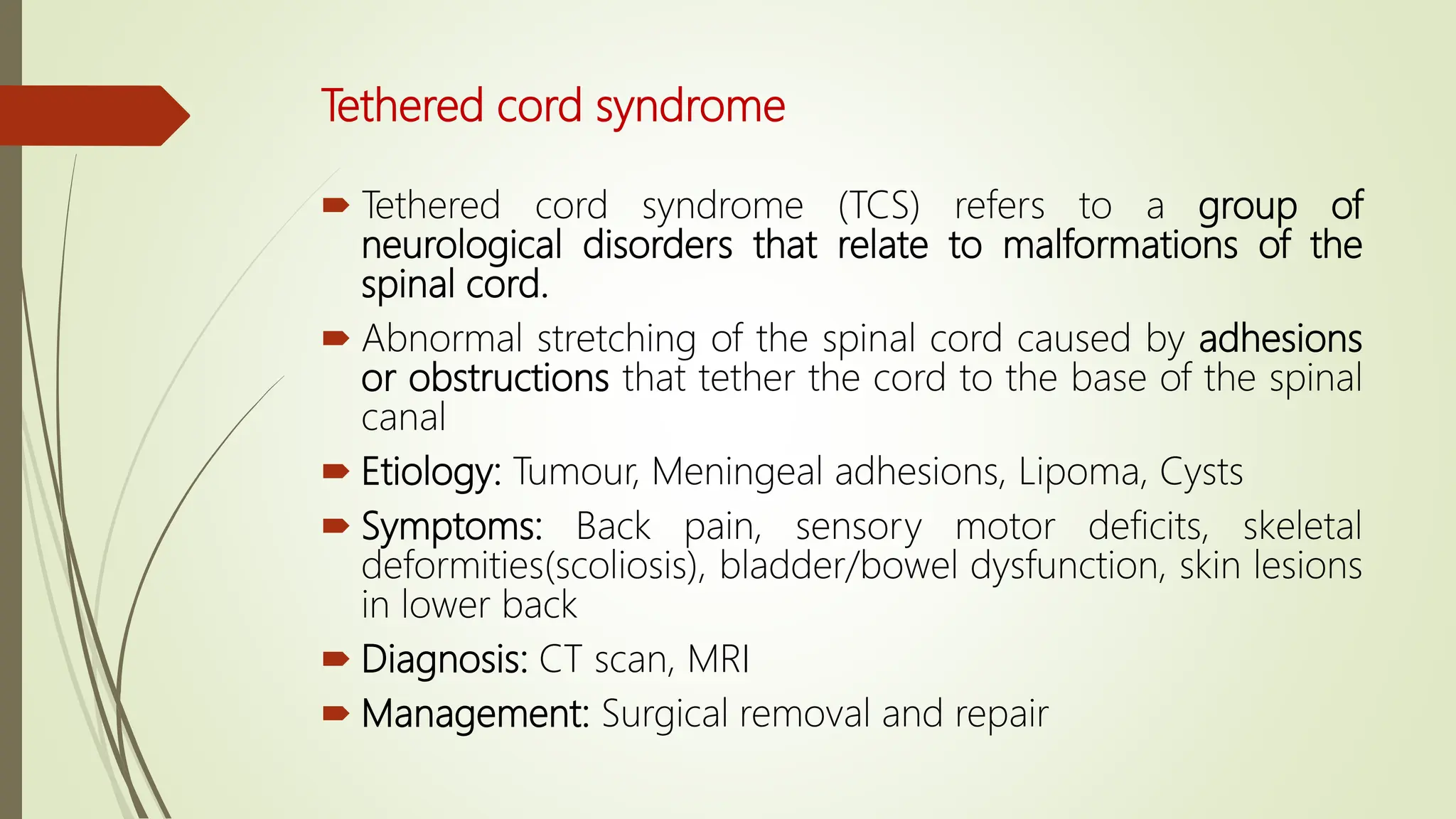 Neural tube defects - in neonates and children | PDF