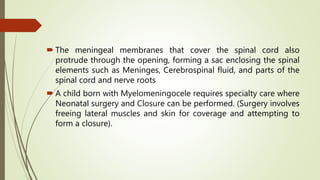 Neural tube defects - in neonates and children | PDF