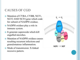 Cybb Mutation Potential Target Diseases for Gene Therapy: Inherited Disorders and ...