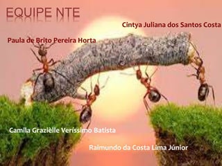 EQUIPE NTE 
Paula de Brito Pereira Horta 
Cintya Juliana dos Santos Costa 
Camila Grazièlle Veríssimo Batista 
Raimundo da Costa Lima Júnior 
 