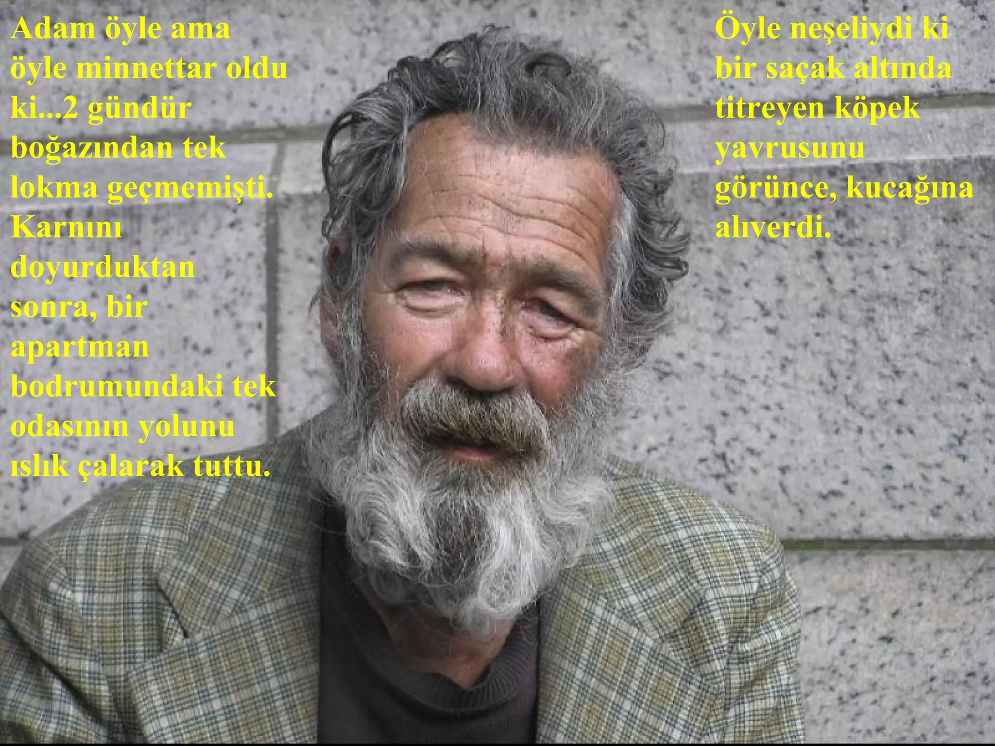 Adam öyle ama          Öyle neşeliydi ki
öyle minnettar oldu    bir saçak altında
ki...2 gündür          titreyen köpek
boğazından tek         yavrusunu
lokma geçmemişti.      görünce, kucağına
Karnını                alıverdi.
doyurduktan
sonra, bir
apartman
bodrumundaki tek
odasının yolunu
ıslık çalarak tuttu.
 