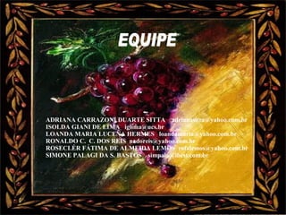 ADRIANA CARRAZONI DUARTE SITTA    adrianasitta@yahoo.com.br ISOLDA GIANI DE LIMA   [email_address] LOANDA MARIA LUCENA HERMES  [email_address] RONALDO C.  C. DOS REIS  [email_address] ROSECLÉR FÁTIMA DE ALMEIDA LEMOS  rofalemos@yahoo.com.br SIMONE PALAGI DA S. BASTOS  simpala@ibest.com.br     EQUIPE 