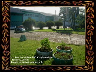 Av. Julio de Castilhos, 3947, Cinqüentenário.   Telefone:32256622 E-mail: nte-caxias@seduc.rs.gov.br 