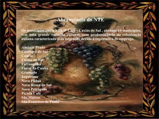 Abrangência do NTE  Os municípios que o NTE/4ª CRE - Caxias do Sul , abrange 14 municípios, tem uma grande variação cultural, com predominância da colonização italiana caracterizada pela migração devido à expectativa de emprego.  Antônio Prado Cambará do Sul Canela Caxias do Sul Farroupilha Flores da Cunha Gramado Jaquirana Nova Pádua Nova Roma do Sul Nova Petrópolis Picada Café São Marcos São Francisco de Paula 