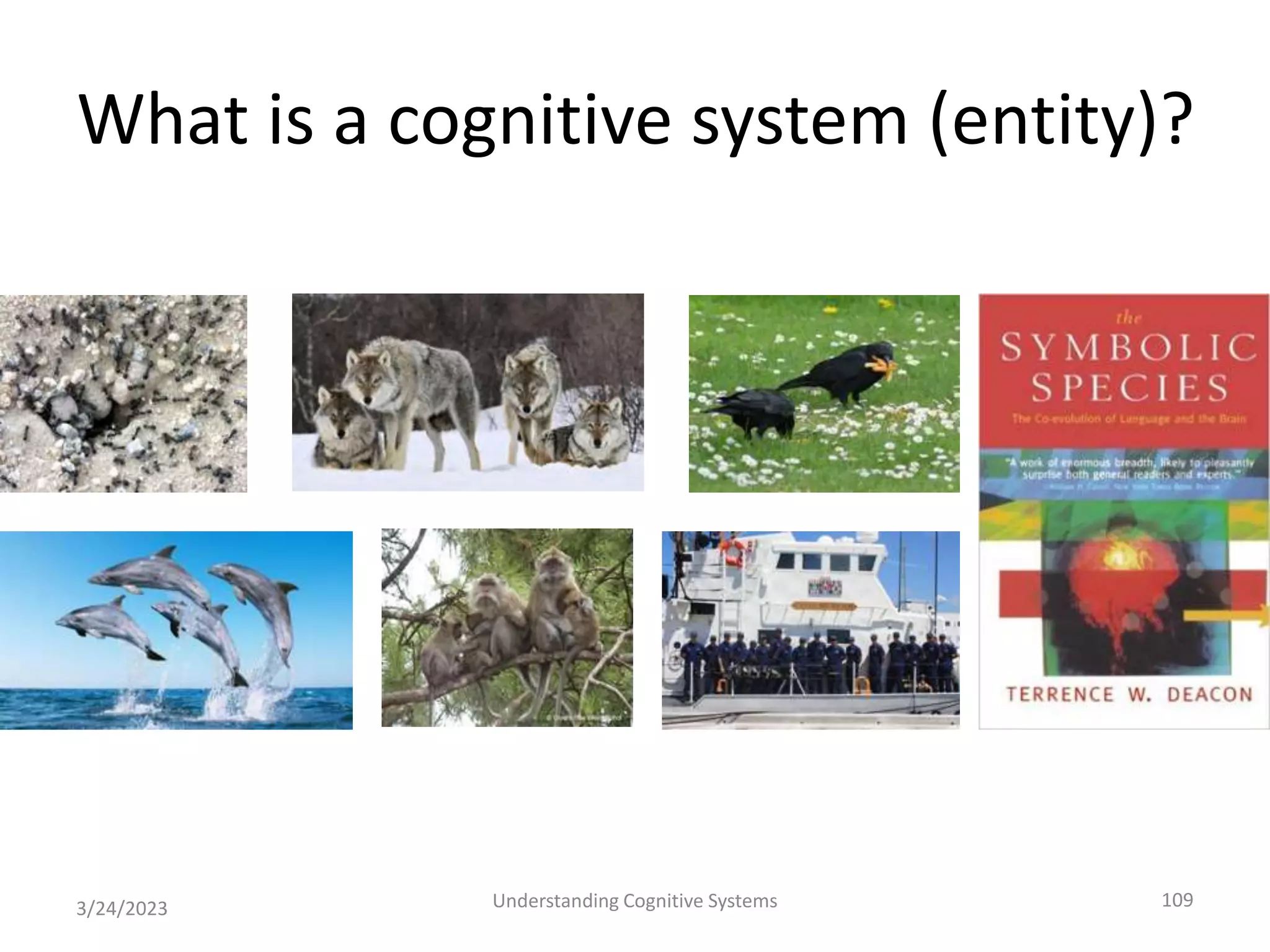 What is a cognitive system (entity)?
3/24/2023 Understanding Cognitive Systems 109
 