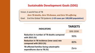 Vision: A world free of TB
Zero TB deaths, Zero TB disease, and Zero TB suffering
Goal: End the Global TB Epidemic (<10 ca...