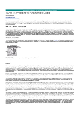 nternal-medicine textbook.pdf