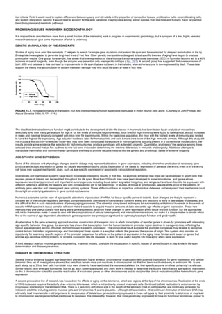 two criteria. First, it would need to explain differences between young and old adults in the properties of connective tissues, proliferative cells, nonproliferating cells,
and system integration. Second, it would need to account for the wide variations in aging rates among animal species that, like mice and humans, have very similar
basic body plans and metabolic pathways.
PROMISING ISSUES IN MODERN BIOGERONTOLOGY
It is impossible to describe here more than a small fraction of the interesting work in progress in experimental gerontology, but a synopsis of a few, highly selected
research areas can give some impression of what is underway.
GENETIC MANIPULATION OF THE AGING RATE
Studies of aging have used the nematode C. elegans to search for single-gene mutations that extend life span and have selected for delayed reproduction in the fly
Drosophila melanogaster to generate long-lived lines of fruit flies. Other genetic manipulations designed to test specific theories of aging have begun to produce
provocative results. One group, for example, has shown that overexpression of the antioxidant enzyme superoxide dismutase (SOD) in fly motor neurons led to a 40%
increase in overall longevity, even though the enzyme was present in only one specific cell type ( Fig. 15.7). A second group has suggested that overexpression of
both SOD and catalase in flies can lead to improvements in life span that are not seen, in their stocks, when either enzyme is overexpressed by itself. These data
support the theory that accumulation of oxidant-mediated damage may limit adult life span, at least in fruit flies.
FIGURE 15.7. Increased longevity in transgenic fruit flies overexpressing human superoxide dismutase in motor neuron cells alone. (Courtesy of John Phillips: see
Nature Genetics 1998;19:171–174.)
The idea that diminished immune function might contribute to the development of late-life disease in mammals has been tested by an analysis of mouse lines
selectively bred over many generations for high or for low levels of immune responsiveness. Mice bred for high immunity were found to have almost twofold increases
in mean and maximal longevity compared with mice bred for low immunity. Within the backcross population, the mice with the highest levels of immunity also tended
to have the highest life expectancy. Age-adjusted incidence rates for hematopoietic and solid tumors were lower in the high-immunity animals. Although this study did
not include a key control—unselected mice—and may have been complicated by exposure to microorganisms typically present in a conventional mouse colony, the
results provide some evidence that selection for high immunity may produce genotypes with extended longevity. Quantitative analyses of the variance among these
selected lines showed that as few as three to nine loci were involved in determining the interline differences in immunity and longevity. Additional attempts to
manipulate mammalian and nonmammalian genotypes are likely to provide valuable insights into the genetic and physiologic bases of extreme longevity.
AGE-SPECIFIC GENE EXPRESSION
Some of the diseases and physiologic changes seen in old age may represent alterations in gene expression, including diminished production of necessary gene
products and ectopic expression of genes not usually expressed in young adults. Exploration of the bases for expression of genes at the wrong times or in the wrong
cell types may suggest mechanistic clues, such as age-specific expression of responsible transcriptional regulators.
Invertebrate and mammalian systems have begun to generate interesting results. In fruit flies, for example, enhancer-trap lines can be developed in which cells that
express genes of interest can be identified throughout the life span. More than 100 such lines have been developed in some laboratories, and genes whose
expression is ordinarily prominent and important in embryogenesis, including those called engrailed, hedgehog, and wingless, have been found to be expressed with
different patterns in adult life, for reasons and with consequences still to be determined. In studies of mouse B lymphocytes, late-life shifts occur in the patterns of
antibody gene selection and intersegment gene splicing systems. These shifts could have an impact on antimicrobial defenses, and analysis of their mechanism could
throw light on underlying alterations in gene control mechanisms.
Numerous examples can be seen of age-specific alterations in production of mRNA for tissue-specific genes in rodents. Such changes are likely to represent a
complex set of intercellular regulatory pathways, compensations for alterations in hormone and cytokine levels, and reactions to early or late stages of diseases, and
it is difficult to find in such data indications of primary aging processes. The advent of array-based techniques for automated quantitation of hundreds or thousands of
specific mRNA species in tissue samples will soon make it possible to acquire massive amounts of data relevant to age effects on gene expression. These new
methods may give useful clues to how aging alters gene expression, and how these changes in gene expression affect tissue and cell function, but the approaches
will not by themselves make it easier to deal with the complications of cellular heterogeneity and intercellular interactions, nor make it a simple matter to decide which
few of the scores of age-dependent alterations in gene expression are primary or significant for optimal physiologic function and good health.
An alternative to the gene-screening approach involves construction of transgenic mice in which transcription of reporter genes is driven by promoters with interesting
age-specific behavior. One group, for example, has shown that transcription from the human transferrin promoter region declines in transgenic mice, reflecting the
typical age-dependent decline of human (but not mouse) transferrin expression. This provocative result suggests the promoter complexes may be able to recognize
control factors that reflect organismic age and then interpret these signals in a way that reflects the gene and the species of origin. This system also provides an
opportunity for examining specific regions of the promoter sequences for effects on the pattern of expression in the aging mice. Similar work based on genes that
encode age-sensitive clotting proteins, or proteins involved in late-life diseases, is likely to give useful insights into how aging alters gene expression.
A third research avenue involves genetic engineering, in animal models, to enable the visualization in specific tissues of genes thought to play a role in life-span
determination and disease prevention.
CHANGES IN CHROMOSOMAL STRUCTURE
Several lines of evidence suggest age-dependent alterations in higher levels of chromosomal organization with potential implications for gene expression and cellular
behavior. One set of investigations showed that cells from female mice can reactivate X-chromosomal loci that had been inactivated early in embryonic life. In one
such study, up to 3% of liver cells from older mice were shown to have reactivated the repressed allele of the liver-specific enzyme ornithine carbamoyl transferase.
Similar results have emerged from some, but not all, such systems analyzed, and more work is needed to determine the factors that influence age-specific reactivation
on the X chromosome to test for possible reactivation of inactivated genes on other chromosomes and to decipher the clinical implications of this heterochronic gene
expression.
A second provocative line of research has focused on the effects of aging on the telomeres, which are regions at the tips of the chromosomes. Replication of the ends
of DNA molecules requires the activity of an enzyme, telomerase, which is not ordinarily present in somatic cells. Continued cellular replication is accompanied by
progressive shortening of the telomeric DNA. There is a reduction with donor age in the length of the telomeric DNA in cell types that are continually generated by
mitosis in adult life, including colonic mucosal cells and lymphocytes. It seems plausible—although still speculative—that continued diminution of telomeric DNA may
ultimately lead in some cells in old organisms to reexpression of deleterious genes ordinarily repressed in these cell types by their proximity to telomeres or may lead
to chromosomal rearrangements that predispose to neoplasia. It is noteworthy, however, that mice genetically engineered to have no functional telomerase appear to
 