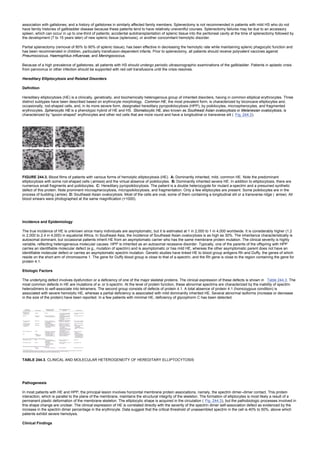 nternal-medicine textbook.pdf