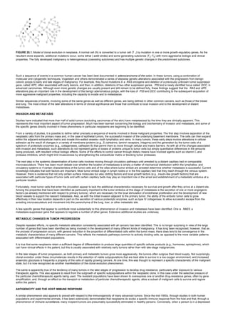 FIGURE 20.1. Model of clonal evolution in neoplasia. A normal cell (N) is converted to a tumor cell (T 1) by mutation in one or more growth-regulatory genes. As the
resultant clone expands, additional mutations occur, some lethal ( solid circles) and some generating subclones (T2–T6) with more aggressive biologic and clinical
properties. The fully developed malignancy is heterogeneous (coexisting subclones) and has multiple genetic changes in the predominant subclones.
Such a sequence of events in a common human cancer has been best documented in adenocarcinoma of the colon. In these tumors, using a combination of
molecular and cytogenetic techniques, Vogelstein and others demonstrated a series of stepwise genetic alterations associated with the progression from benign
colonic polyps to early and late stages of malignancy. For example, they found mutations in a RAS oncogene and deletion of a previously unknown tumor suppressor
gene, called APC, often associated with early lesions, and then, in addition, deletions of two other suppressor genes, P53 and a newly identified locus called DCC, in
advanced carcinomas. Although even more genetic changes are usually present and still remain to be defined fully, these findings suggest that the RAS and APC
alterations play an important role in the development of the benign adenomatous polyps, with the loss of P53 and DCC contributing to the subsequent acquisition of
more aggressive malignant properties, including the capacity to invade and to metastasize.
Similar sequences of events, involving some of the same genes as well as different genes, are being defined in other common cancers, such as those of the breast
and lung. The most critical of the later alterations in terms of clinical significance are those that contribute to local invasion and to the development of distant
metastases.
INVASION AND METASTASIS
Studies have indicated that more than half of solid tumors (excluding carcinomas of the skin) have metastasized by the time they are clinically apparent. This
represents the most important aspect of tumor progression. Much has been learned concerning the biology and biochemistry of invasion and metastasis, and some of
the specific genes directly involved in these phenomena in particular neoplasms are beginning to be identified.
From a variety of studies, it is possible to define rather precisely a sequence of events involved in those malignant properties. The first step involves separation of the
neoplastic cells from the primary mass and, in the case of epithelial tumors, the successful invasion of the underlying basement membrane. The cells can then expand
within the adjacent extracellular matrix and invade thin-walled vessels—both lymphatics and veins. In many tumors, these early steps involve alterations in cellular
adhesion as the result of changes in a variety of membrane proteins (e.g., E-cahedrins, laminin receptors, integrins) and the generation by the tumor cells of a
spectrum of proteolytic enzymes (e.g., collagenases, cathepsin B) that permit them to move through cellular and matrix barriers. As with all of the changes associated
with invasion and metastasis, such alterations do not represent gains or losses of proteins unique to tumor cells but simply quantitative differences in the amounts
being produced, with resultant critical biologic effects. Some of the efforts to control cancer through dietary means have involved agents such as vitamin C and
protease inhibitors, which might limit invasiveness by strengthening the extracellular matrix or blocking tumor proteases.
The next step in the systemic dissemination of tumor cells involves moving through circulatory pathways until arrested by a distant capillary bed or comparable
microvasculature. There has been much debate over whether the location of metastases is simply a matter of mechanical distribution within the lymphatics. and
circulatory systems or if certain characteristics of the tumor cells and of the sites where tumor emboli are arrested determine whether metastasis is successful. Current
knowledge indicates that both factors are important. Most tumor emboli lodge in lymph nodes or in the first capillary bed that they reach through the venous system.
However, there is evidence that not only certain surface molecules but also clotting factors and local growth factors (e.g., insulin-like growth factors) that are
associated with particular types of tumor cells and with certain capillary beds may play an important role in the arrest and establishment of a metastatic embolus at a
particular location.
Fortunately, most tumor cells that enter the circulation appear to lack the additional characteristics necessary for survival and growth after they arrive at a distant site.
Among the properties that have been identified as particularly important to the tumor embolus at this stage of metastasis is the secretion of one or more angiogenic
factors (as already mentioned with respect to primary tumors), which are necessary for the local stimulation of endothelial proliferation and the development of new
blood vessels to support the nascent metastasis. Also, as with the initial invasion adjacent to the primary tumor, the ability of the embolic tumor cells to grow
effectively in their new location depends in part on the secretion of various proteolytic enzymes, such as type IV collagenase, to allow successful escape from the
arresting microvasculature and movement into the parenchyma of the lung, liver, or other metastatic site.
A few specific genes that appear to contribute most substantially to this phenomenon of invasion and metastasis have been identified. One is NM23, a
metastasis-suppressor gene that appears to regulate a number of other genes. Extensive additional studies are underway.
METABOLIC CHANGES IN TUMOR PROGRESSION
Despite repeated efforts, no specific metabolic alteration consistently associated with all cancers has been identified. This is no longer surprising in view of the large
number of genes that have been identified as being involved in the development of many different kinds of malignancy. It has long been recognized, however, that as
the process of progression occurs, with general reduction in the proportion of differentiated cells within the tumor mass, there does tend to be convergence in the
metabolic characteristics of many different cancers. This reflects the metabolic pathways common to actively dividing cells, as opposed to the more variable patterns
associated with differentiated populations.
It is true that some neoplasms retain a sufficient degree of differentiation to produce large quantities of specific cellular products (e.g., hormones, epinephrine), which
can have clinical effects in the patient, but this is usually associated with relatively early tumors rather than with late-stage malignancies.
In the later stages of tumor progression, as both primary and metastatic tumors grow more aggressively, the tumors often outgrow their blood supply. Not surprisingly,
clonal evolution under these circumstances results in the selection of viable subpopulations that are best able to survive in a low-oxygen environment, and increased
anaerobic glycolysis is frequently a property of the cells of rapidly growing cancers. At one time, this was thought to represent a specific characteristic of the malignant
state, but it is now recognized as another manifestation of the clonal evolution phenomenon.
The same is apparently true of the tendency of many tumors in the later stages of progression to develop drug resistance, particularly after exposure to various
therapeutic agents. This also appears to result from the outgrowth of specific subpopulations within the neoplastic clone, in this case under the selective pressure of
the particular chemotherapeutic agents being used. The resistant populations have been shown to overexpress one or another drug-resistance genes, often by gene
amplification, and, through an effect on the transport or metabolism of particular chemotherapeutic agents, allow a subset of malignant cells to survive and regrow
within the patient.
ANTIGENICITY AND THE HOST IMMUNE RESPONSE
A similar phenomenon also appears to prevail with respect to the immunogenicity of many advanced tumors. Since the mid-1950s, through studies in both human
populations and experimental animals, it has been extensively demonstrated that neoplasms do evoke a specific immune response from the host and that, through a
phenomenon of immune surveillance, many incipient tumors are presumably successfully eliminated in healthy persons. Conversely, when a person is in a depressed
 