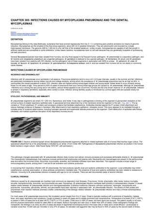 nternal-medicine textbook.pdf