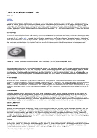 nternal-medicine textbook.pdf