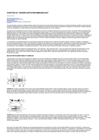 CHAPTER 23: TRANSPLANTATION IMMUNOLOGY
Kelley’s Textbook of Internal Medicine
CHAPTER 23: TRANSPLANTATION IMMUNOLOGY
JUDITH A. SHIZURU
Major Histocompatibility Complex
The Immune Response and Tissue Rejection
Hyperacute Rejection
Bone Marrow Transplantation
Pharmacologic Suppression of Rejection of Transplanted Tissues
Conclusions
The transplantation of tissues to replace diseased organs has evolved over the last several decades to become an important therapeutic modality. Success has been
possible in transplantation for two reasons: (a) an evolving understanding of how the immune response mediates the recognition and destruction of foreign organisms
and (b) the development of multiple classes of drugs that can effectively suppress the immune response.
Although tissue transplantation has been practiced sporadically by a number of civilizations dating back to as early as 700 BC, not until the 1930s did biologists begin
systematic study in animals that led to our current understanding of tissue rejection. The most crucial paradigm is that rejection of grafts has an immunologic basis
mediated primarily by T cells. Studies of skin graft transplantation between inbred strains of mice revealed the basic rules of rejection: Grafts that are exchanged
between different sites on the same animal or person (autologous) or exchanged between genetically identical people (twins) or inbred animal strains ( syngeneic) are
accepted 100% of the time. In contrast, when skin grafts are transplanted between genetically disparate humans or animals but within the same species, the graft is
initially accepted, but subsequently rejected at about 2 weeks. This donor–recipient combination is termed allogeneic. Grafts exchanged between organisms of
different species are called xenografts.
In the allogeneic and xenogeneic setting, if a second graft is placed from the same donor, but after the first graft is rejected, the tempo of rejection is accelerated,
occurring at approximately 6 to 8 days. These responses are called first-set rejection and second-set rejection, respectively, and demonstrate that the reaction against
the tissue is specific for antigens on the graft, because transplantation of skin from another unrelated donor results in a first-set rejection. There are special
circumstances in which allografts or xenografts are rejected in a very rapid time frame; these are described in the section on hyperacute rejection.
T lymphocytes mediate the rejection of transplanted tissue. This is because T cells, particularly CD4 +
T cells, are central to the induction and perpetuation of most
antigen-specific immune responses. Experimentally, the role of T cells in tissue rejection was shown by transplantation of skin grafts onto strains of mice that
genetically lack T cells. The mice were unable to reject an allogeneic skin graft unless T cells were transferred to them from a genetically matched mouse with a
normal immune system.
MAJOR HISTOCOMPATIBILITY COMPLEX
Understanding of how tissues are recognized and rejected has occurred in parallel with knowledge of how the immune response functions. The skin graft studies
between inbred mouse strains led investigators to discover a gene region that encodes for surface molecules that not only control organ rejection, but also control
most T-cell responses. That gene region is generically termed the major histocompatibility complex (MHC) ( Fig. 23.1). In mice, the MHC is designated H-2, and in
humans it is called the human leukocyte antigen (HLA) complex and is located on the short arm of chromosome 6. The MHC is composed of a stretch of linked genes
of three different classes. The class I and class II genes encode proteins that are expressed on the cell surface and whose function it is to bind peptides and present
peptides for recognition by a T cell ( Fig. 23.2). Thus, the ligand for a T-cell clone's receptor is a composite of an MHC class I or class II molecule plus peptide bound
in its antigen-binding groove. The class III MHC–encoded proteins are structurally and functionally distinct from the class I and II molecules. These proteins include
components of the complement system and certain cytokines, which play a less direct role in transplantation biology. They will not be further discussed as a group in
this chapter.
FIGURE 23.1. Genetic organization of the human major histocompatibility complex (MHC). There are separate regions of class I and class II genes, and class III
genes are interspersed as indicated. The class I genes are HLA-A, HLA-B, and HLA-C. The class II genes are DR, DQ, and DP. DM genes are related to class II
genes and function to catalyze peptide binding to class II MHC molecules. The LMP/TAP genes are class III genes that encode molecules involved in processing and
transporting endogenous antigens. Other proteins encoded in the class III region are tumor necrosis factor a and b, and complement factors C2, C4, B, and F.
FIGURE 23.2. Schematic representation of the molecular interactions that lead to activation of T lymphocytes. Shown here is the activation of a CD4 +
T cell by an
antigen-presenting cell. The primary ligand for the antigen-specific T-cell receptor is an MHC class II molecule bound to a peptide antigen. The CD4 molecule
stabilizes this interaction. Also shown are some of the known costimulatory and adhesion receptor-ligand pairs that participate in the cellular interaction. CD, cluster
designation; VCAM-1, vascular adhesion molecule-1; VLA-4, very late activation antigen-4; ICAM-1, intercellular adhesion molecule-1; LFA-1, lymphocyte
function-related antigen.
Both class I and class II MHC molecules are cell-surface glycoproteins that resemble one another but have slightly different structures. Class MHC I molecules are
heterodimers composed of an a chain that is membrane spanning and is associated noncovalently with the molecule b 2-microglobulin. b2-Microglobulin is not encoded
within the MHC complex. Class II MHC molecules are composed of an a and a b chain; both chains are derived from the MHC and both span the plasma membrane.
Class I MHC molecules are expressed on virtually all nucleated cells, but their level of expression depends on the cell type. In humans, there are three class I
 
