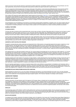 nternal-medicine textbook.pdf