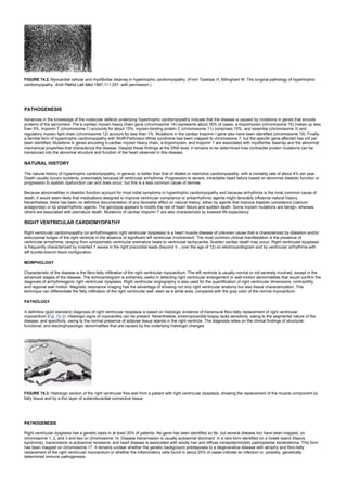 nternal-medicine textbook.pdf