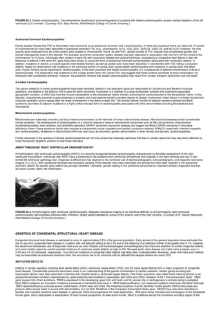 nternal-medicine textbook.pdf