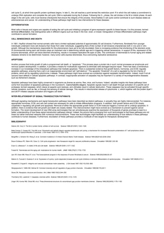 cell cycle G1 at which time specific protein synthesis begins. In late G 1 the cell reaches a point termed the restriction point R in which the cell makes a commitment to
undergo DNA replication and complete the cell cycle. DNA is replicated during the S phase. Following the G 2 phase, the cell divides in the M or mitotic phase. At each
stage in the cell cycle, cells must traverse checkpoints that ensure the integrity of the process. Abnormalities in cell cycle control contribute to such disease states as
arteriosclerosis and cancer. An understanding of these pathways might lead to new interventions for these diseases.
DIFFERENTIATION
Most cells in tissues and organs are capable of exiting the cell cycle and initiating a program of gene expression specific to these tissues. It is this process, termed
terminal differentiation, that distinguishes cells in different organs such as those in the liver, brain, or breast. Deregulation of these differentiation pathways might
contribute to cancer formation.
CELL SENESCENCE AND DEATH
In 1961, Hayflick showed that normal somatic cells have a limited replicated potential of approximately 50 cell divisions. Furthermore, fibroblasts from younger
individuals underwent more cell divisions than those from older individuals, suggesting that a finite number of cell divisions characterizes both in vivo and in vitro
growth. Although the mechanisms responsible for this phenomenon have yet to be fully elucidated, there is increasing evidence that shortening of the telomeric ends
of chromosomes during each cell division plays an important role in determining cellular age and in triggering cellular senescence. In support of this, expression of the
enzyme telomerase, which can block telomere shortening, results in increased replicative life span of cells. The contribution of telomerase to human aging and related
diseases remains to be determined; however, many tumor cells express telomerase, thus overcoming replicative senescence.
APOPTOSIS
Another process that limits growth of cells is programmed cell death, or “apoptosis.” This process plays a pivotal role in such normal processes as lymphocyte and
nervous system development. In addition, it provides a means for multicellular organisms to eliminate cells damaged beyond repair. There has been a tremendous
increase in our knowledge of the intracellular pathways that mediate apoptosis. There is substantial evidence that growth factors, hormones, and ECM, regulate
apoptotic pathways, ensuring that a cell in an inappropriate environment will “self-destruct.” The apoptotic “threshold” of a cell is regulated by the bcl-2 family of
proteins, which act by regulating cytochrome c release. These pathways might have evolved as a protection against neoplastic transformation. Indeed, most if not all
cancers have defects in cellular apoptotic pathways. In contrast, inappropriate activation of caspases may be important in a variety of neurodegenerative diseases
such as Alzheimer's disease.
Apoptotic pathways have been highly conserved in organisms as diverse as worms, flies, mice, and humans. Indeed, valuable insights into these pathways have
come from elucidation of apoptosis pathways in the roundworm, Caenorhabditis elegans. Apoptotic signals result in cell death through activation of a specific set of
proteases, termed caspases, which cleave at aspartic acid residues, and ultimately result in cellular destruction. These caspases may be activated through specific
cellular receptors, such as fas, or through the sensing of cellular damage. This results in mitochondrial release of cytochrome c, which together with the protein Apaf-1
and dATP initiates caspase activation and triggers cell death.
INTER-RELATIONSHIP OF SIGNAL TRANSDUCTION PATHWAYS
Although signaling mechanisms and signal transduction pathways have been described as distinct pathways, in actuality they are highly interconnected. For instance,
appropriate hormones, ECM, and cell–cell contact are necessary for cells to initiate differentiation programs. In addition, both growth factors and ECM closely
cooperate in regulating cell growth and apoptosis. Removal of either the appropriate growth factor or ECM molecule triggers a normal cell to undergo apoptosis. In
addition, there is evidence that cell growth and death are closely related. This interconnection might have evolved as a mechanism to prevent against cancer
formation. The recent development of new DNA array technologies that can simultaneously examine the expression of thousands of genes promises to lead to a
better understanding of how these signal transduction pathways interact. Indeed, the picture that is emerging from such technologies is that these pathways are not
linear but rather branched networks with numerous interconnections. These new technologies might facilitate our understanding of how defects in these pathways
contribute to human diseases. Furthermore, elucidation of these pathways provides a multitude of new targets for therapeutic development.
BIBLIOGRAPHY
Adams JM, Cory S. The Bcl-2 protein family: arbiters of cell survival. Science 1998;281(5381):1322–1326.
Bata-Csorgo Z, Cooper KD, Ting KM, et al. Fibronectin and alpha5 integrin regulate keratinocyte cell cycling: a mechanism for increased fibronectin protentiation of T cell lymphokine–driven
keratinocyte hyperproliferation in psoriasis. J Clin Invest 1998;101(7):1509–1518.
Bergoffen J, Scherer SS, Wang S, et al. Connexin mutations in X-linked Charcot–Marie–Tooth disease. Science 1993;262(5142):2039–2042
Braun-Dullaeus RC, Mann MJ, Dzau VJ, Cell cycle progression: new therapeutic target for vascular proliferative disease. Circulation 1999;98(1):82–89
Evan G, Littlewood T, A matter of life and cell death. Science 1998;281(5381):1317–1322
Fossel M, Telomerase and the aging cell: implications for human health. JAMA 1998;279(21):1732–1735
Iyer VR, Eisen MB, Ross DT, et al. The transcriptional program in the response of human fibroblasts to serum. Science 1999;283(5398):83–87
Makino S, Fukuda K, Kodama H, et al. Expression of cyclins, cyclin-dependent kinases and cell cycle inhibitors in terminal differentiation of cardiomyocytes. Circulation 1997;96(8S):513–I
Ruoslahti E, Engvall E. Integrins and vascular extracellular matrix assembly. J Clin Invest 1997;100(11S):53S–56S
Stergiopoulos K, Taffet SM, Delmar M. Connexin diversity and pH regulation of gap junction channels. Circulation 1998;98(17S):8211
Stone DK, Receptors: structure and function. Am J Med 1998;105(3):244–250
Thornberry NA, Lazebnik Y, Caspases: enemies within. Science 1998;281(5381):1312–1316
Unger VM, Kumar NM, Gilula NB, et al. Three-dimensional structure of a recombinant gap junction membrane channel. Science 1999;283(5405):1176–1180
 